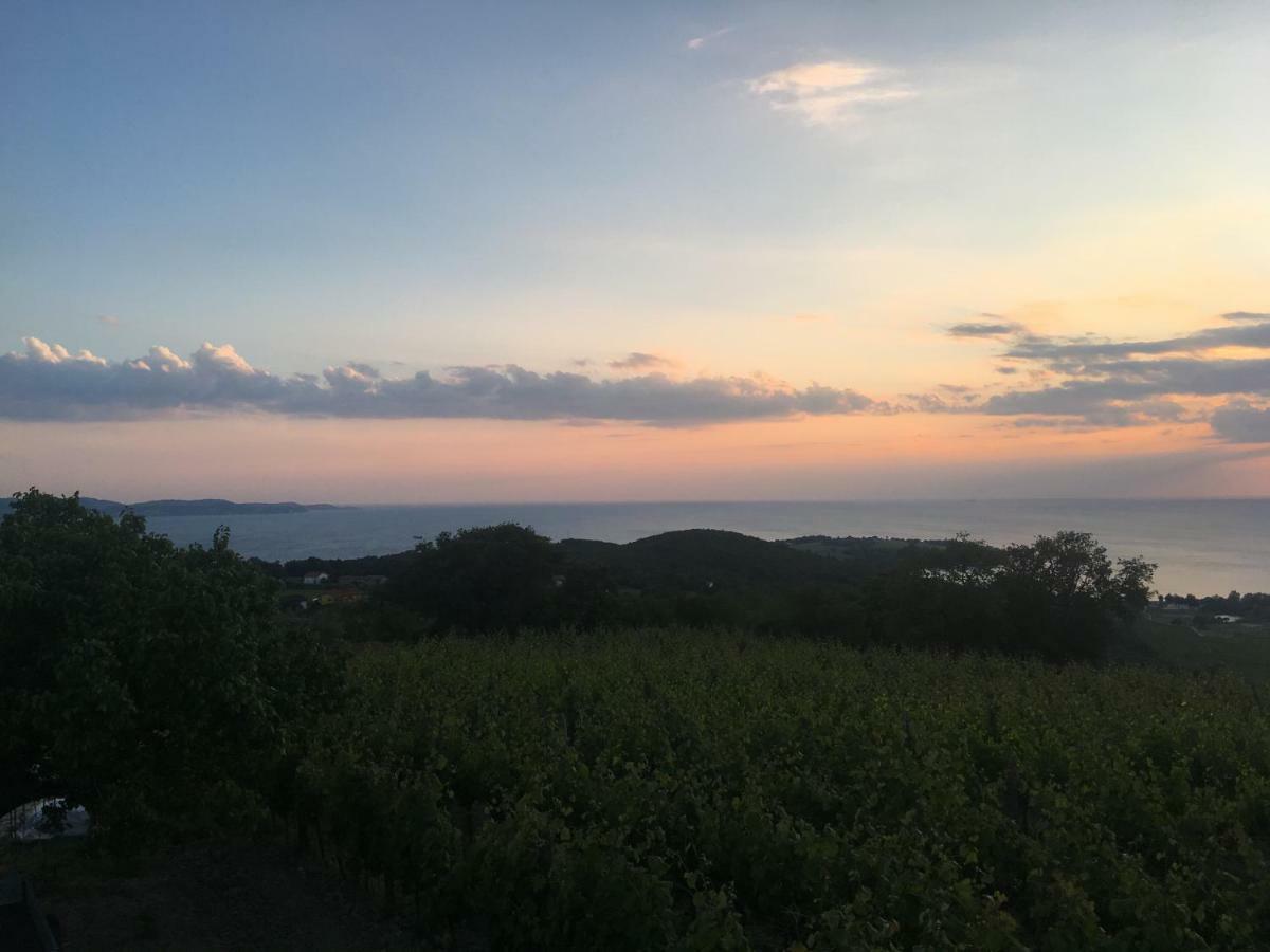 Bella Vista Apartman Ankaran Kültér fotó