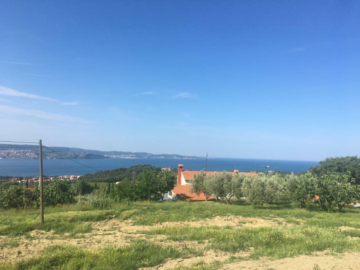 Bella Vista Apartman Ankaran Kültér fotó