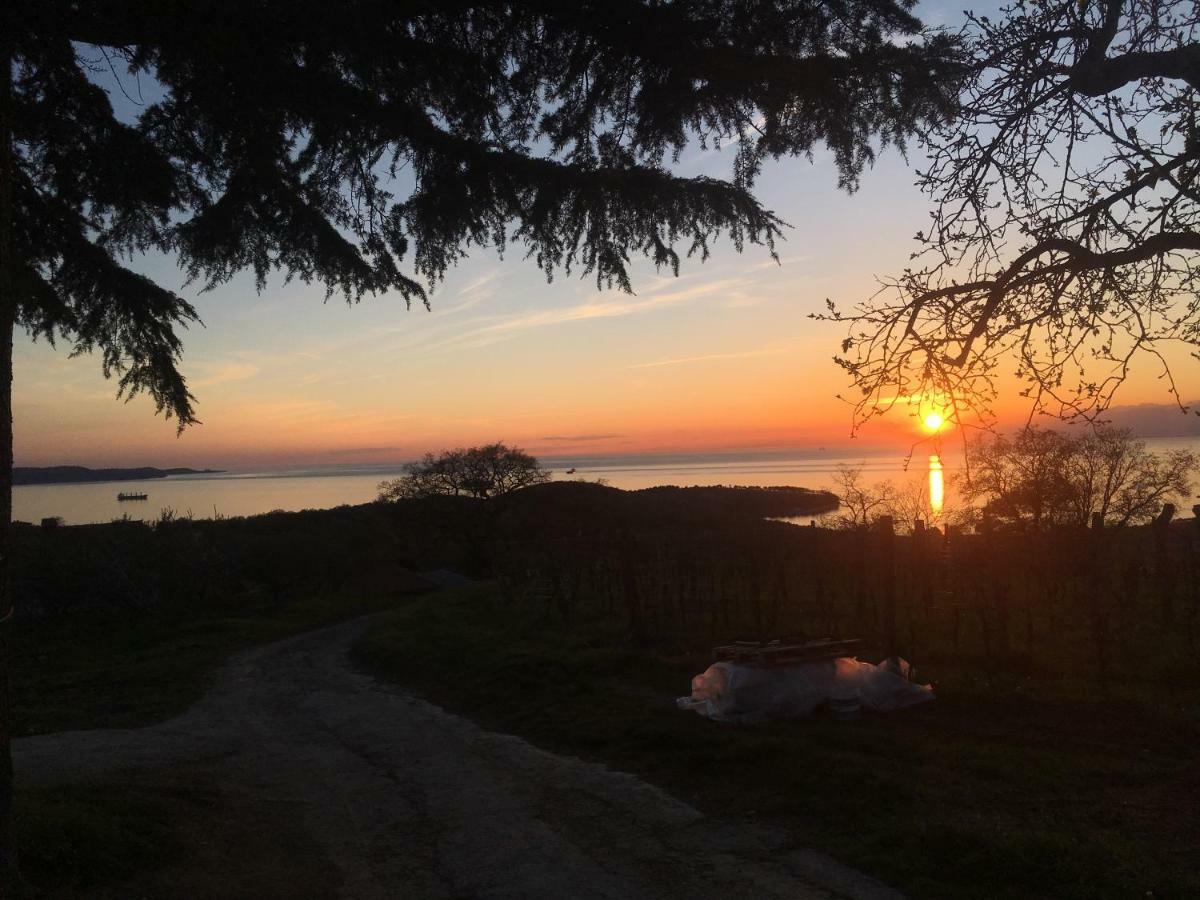 Bella Vista Apartman Ankaran Kültér fotó