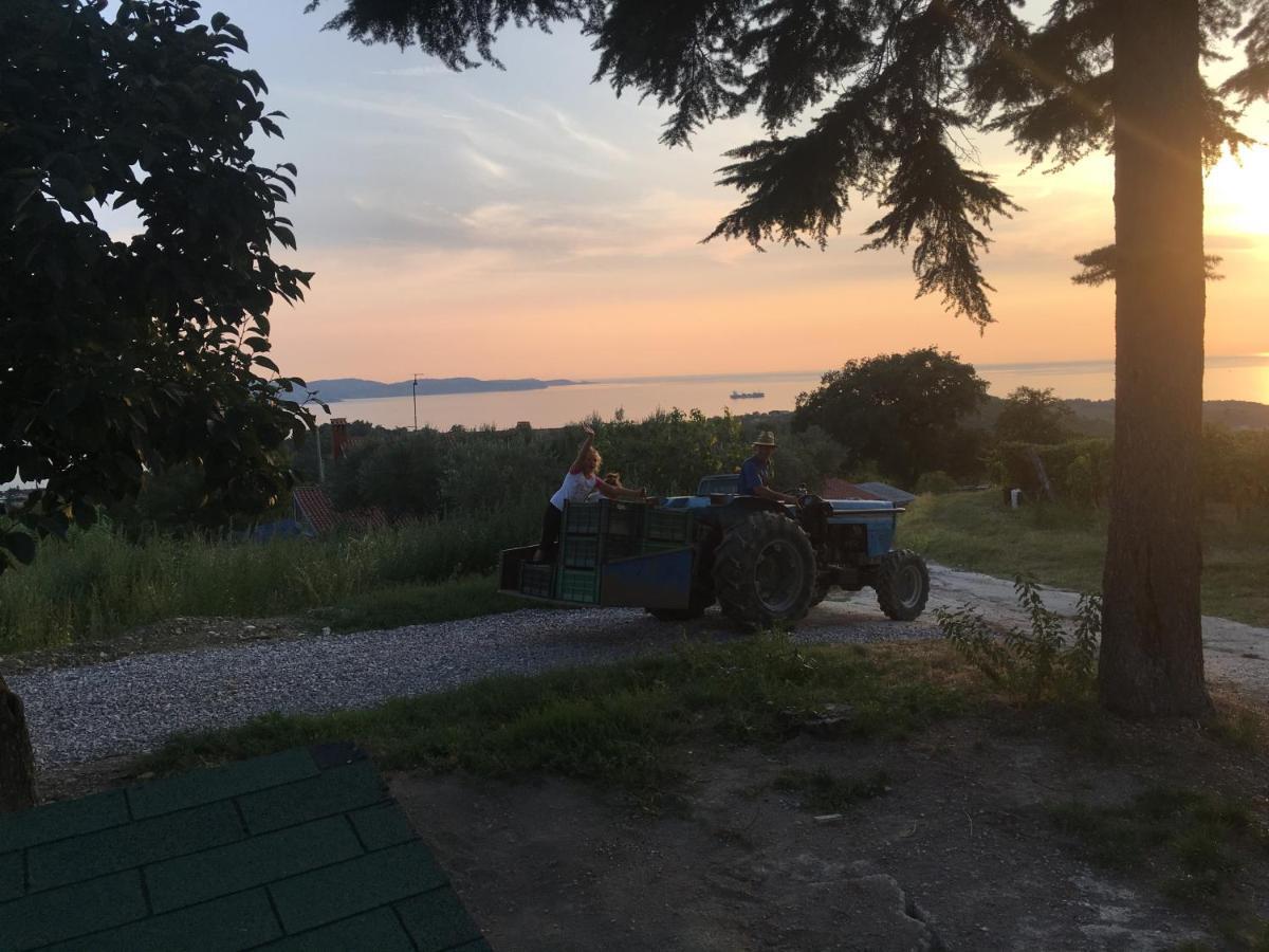 Bella Vista Apartman Ankaran Kültér fotó